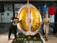 -都念榴莲·城市榴莲