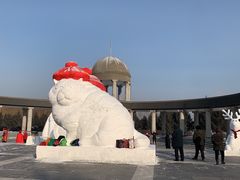 -长春公园(普阳街道)