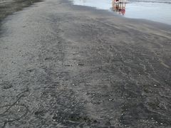 -台山黑沙湾海浴场