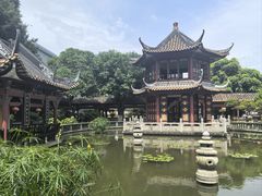-碧江金楼