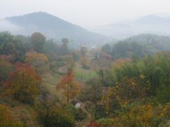 景点-塔川景区