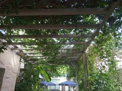 -香香海南菜餐厅