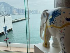 -海港城