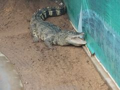 -西霞口神雕山野生动物世界