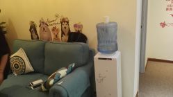 -谜秀专业半永久纹眉纹绣美瞳线洗眉