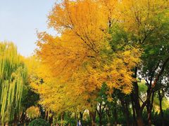 -玲珑塔公园