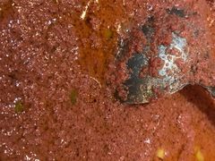 -鱼市酒店(威海水产批发市场店)