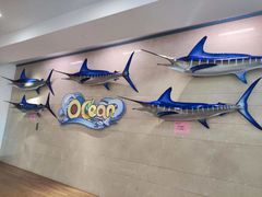 -贝林大翅鲸简餐厅(国家海洋博物馆店)