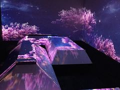 -火影忍者动画多媒体展