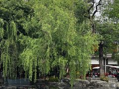 -老三李村河底戳子肉(总店)