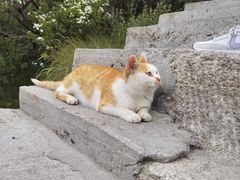 -华山风景名胜区