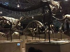 -世界恐龙谷景区