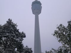 -陕西自然博物馆