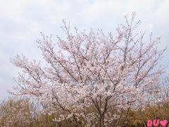 -南湖湿地公园