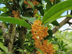 -福建鲤鱼洲酒店