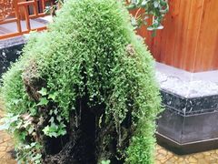 -华源足浴棋牌SPA