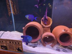 -Zoolung Zoolung动物主题公园(海信广场店)