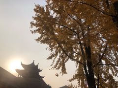 -苏州吴宫泛太平洋酒店