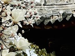 -龙华寺