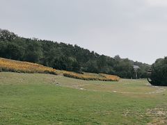 -棒棰岛宾馆景区