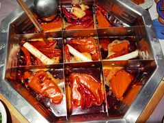 -蜀九香火锅(九眼桥店)