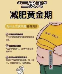 -Fundi张玉珊修身堂·indiba·BTL科技瘦身