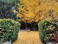 -中国政法大学(昌平校区)