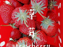 -普迪生态园