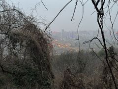 -一叶觅山(半边街店)