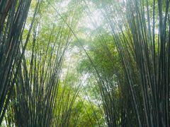 -成都杜甫草堂博物馆