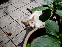 -默迹咖啡馆
