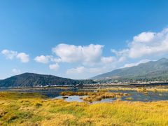 -腾冲北海湿地