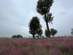 -汉长安城未央宫国家考古遗址公园