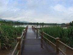 iphone_upload_pic-西昌邛海湿地