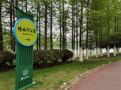 -滨湖塘西河公园