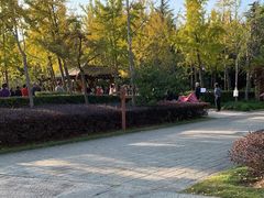 -黄兴公园