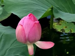 -长春市南湖公园