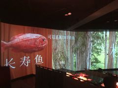 -地球美食剧场