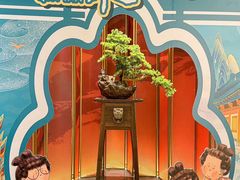 -大秦小宴•新派西北(万象前海店)