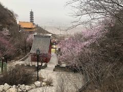 -辛安庄鸡鸣山景区