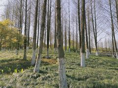 -绍兴镜湖国家城市湿地公园