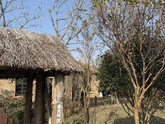 -盐城丹顶鹤湿地生态旅游区