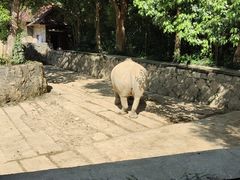 -杭州野生动物世界