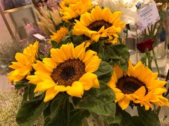 -花邻FloweringLife花艺气球派对(武康大楼店)