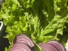 -额尔敦传统涮(公园西路店)