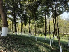-重庆彩云湖湿地公园
