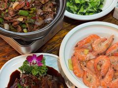 -小小饭店·休闲农庄·安吉松树林里的农家菜