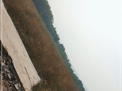 -北京东方普罗旺斯薰衣草庄园