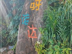 -呀诺达热带雨林