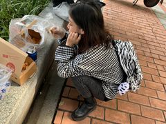 -阿捡忭京炸鸡(长沙韭菜园总店)